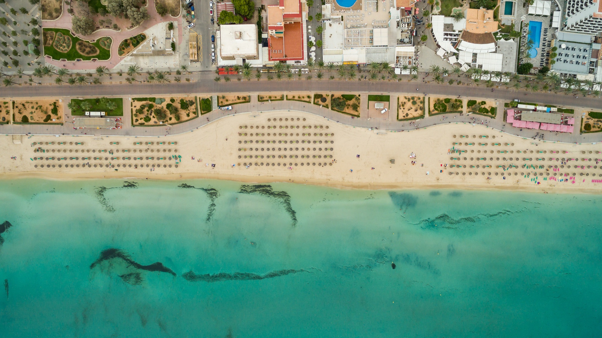 Vista aèria al llarg de la Platja de Palma / s'Arenal, files de para-sols a la sorra i la badia turquesa al darrere