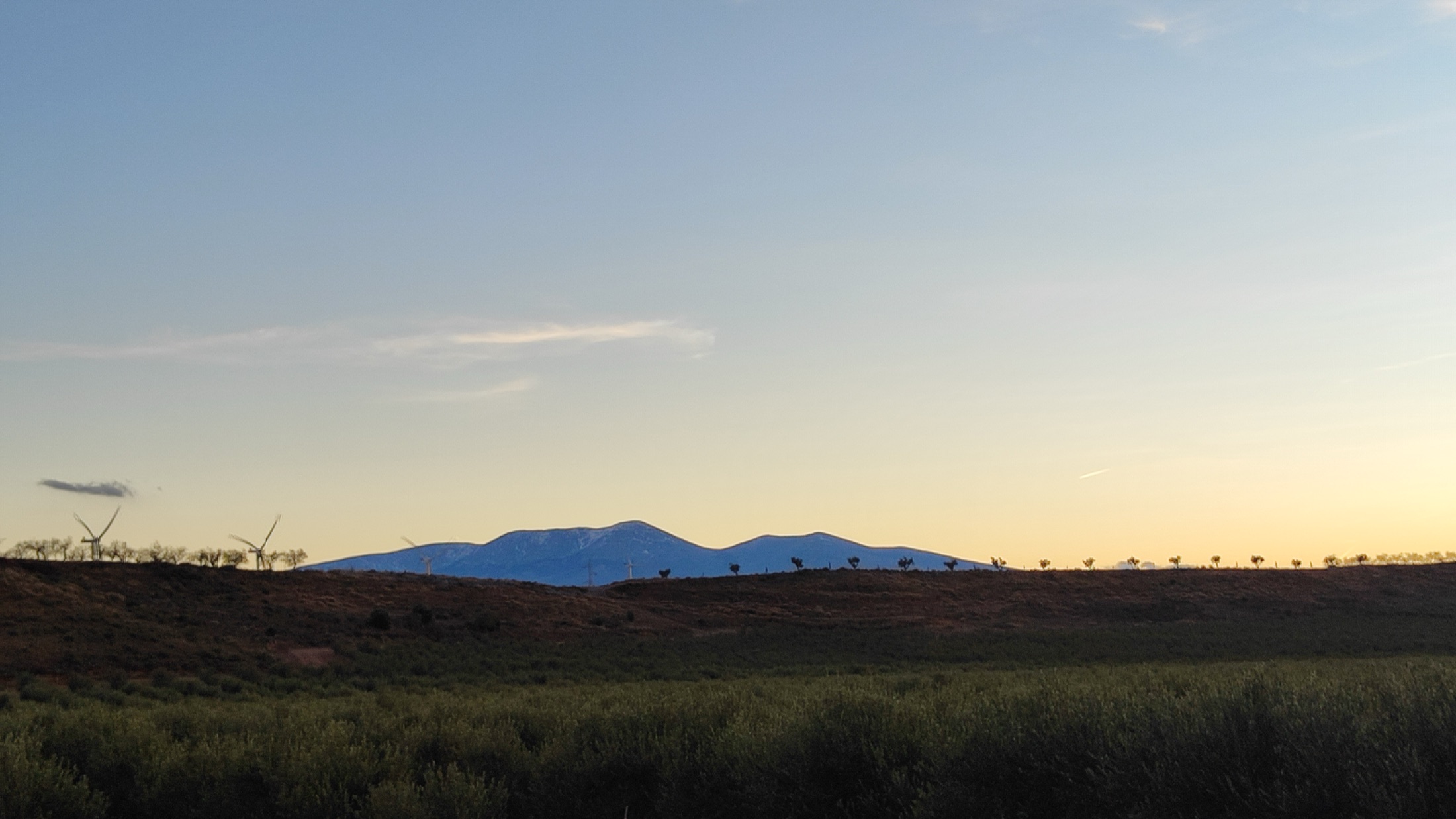El massís del Moncayo, amb neu, baix a l'horitzó a l'altra banda de la plana des de Cascante al capvespre, oliveres i aerogeneradors retallats sota un cel càlid